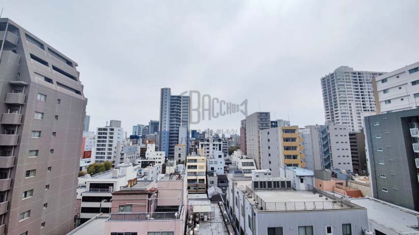 KAISEI江戸堀※現地10階南向きの眺望（2022年3月撮影）