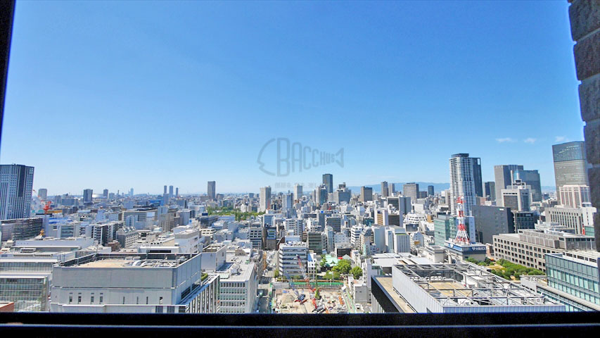 リーガルタワー大阪※現地25階西向きの眺望（2017年8月撮影）