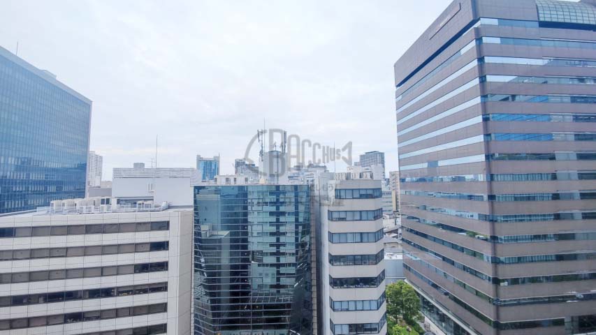 Ｄ’グラフォート大阪N.Y.タワーHIGOBASHI※現地12階西向きの眺望（2022年5月撮影）